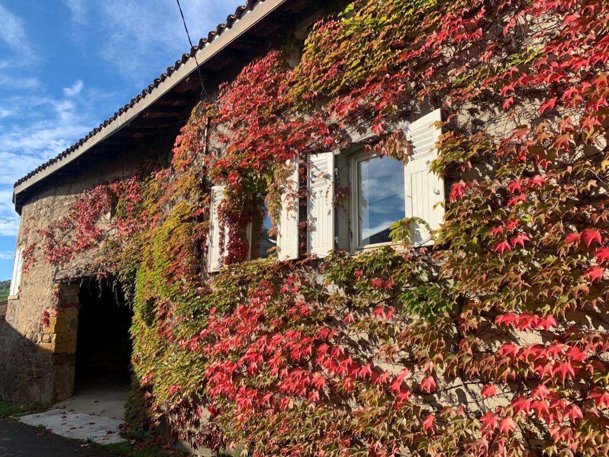 Le Gite De Buffetieres Saint-Romain-de-Popey Exterior foto
